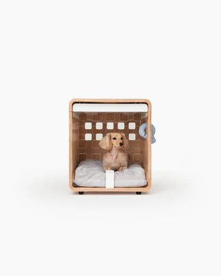 dog Rest Set
