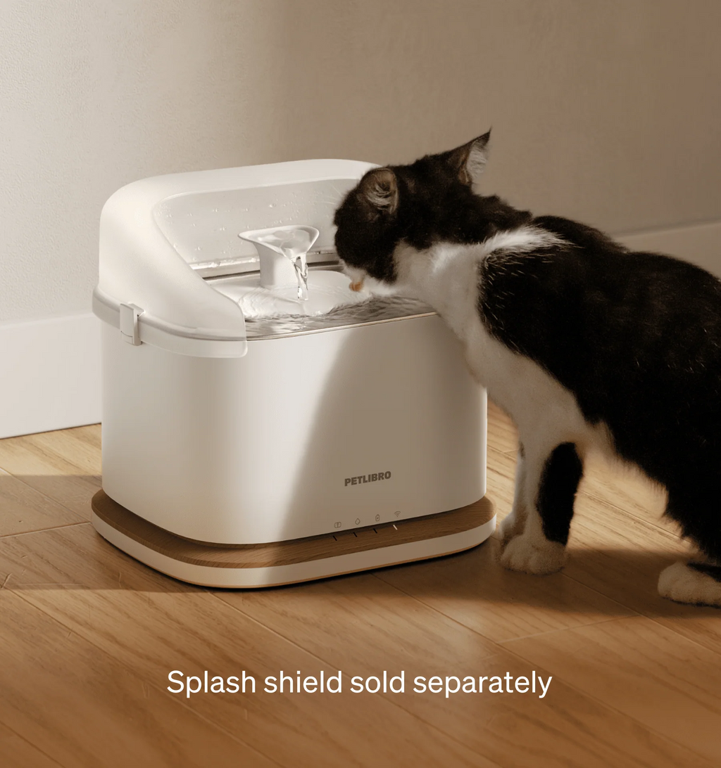 Dockstream 2 Smart Cordless Fountain