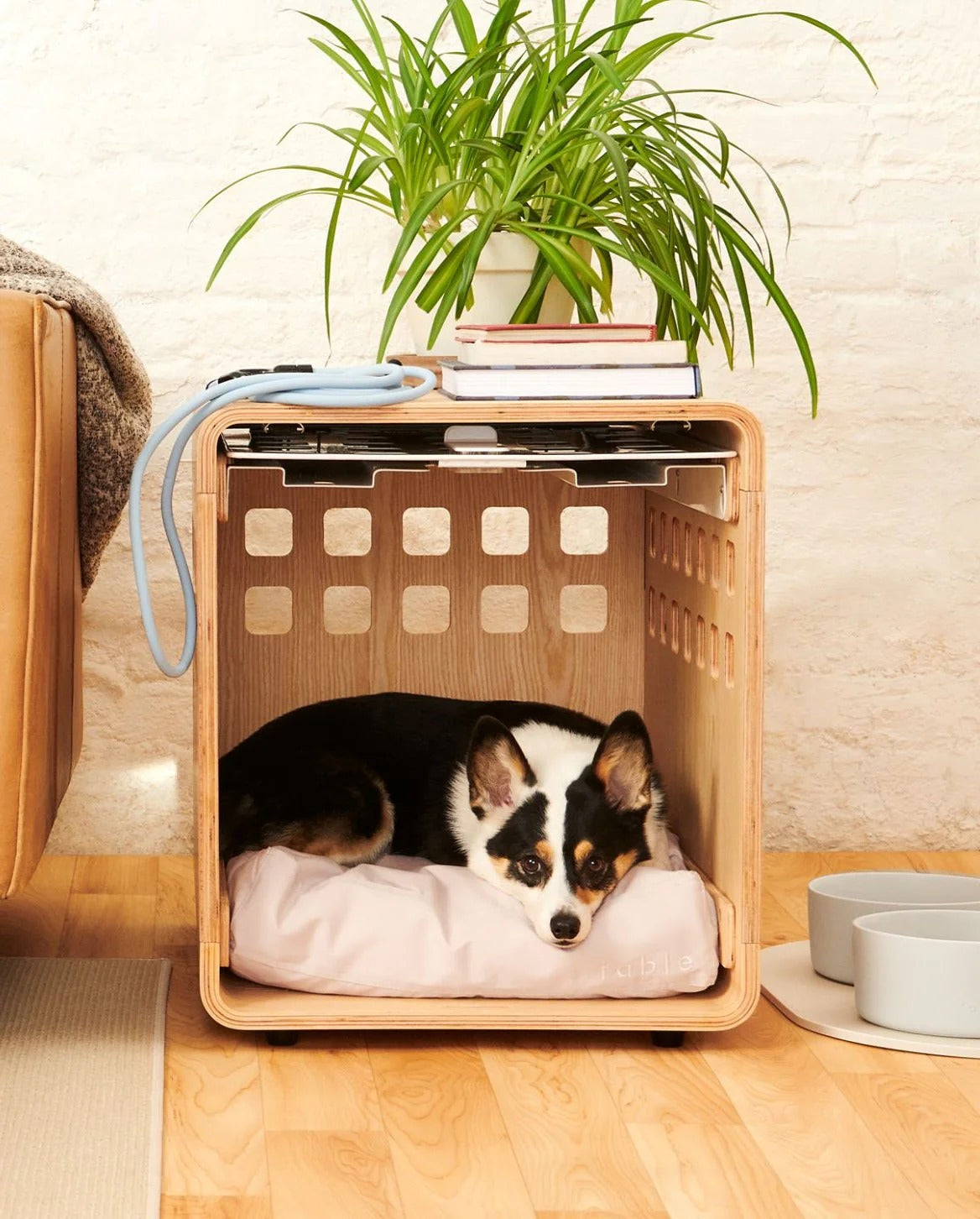 dog Rest Set