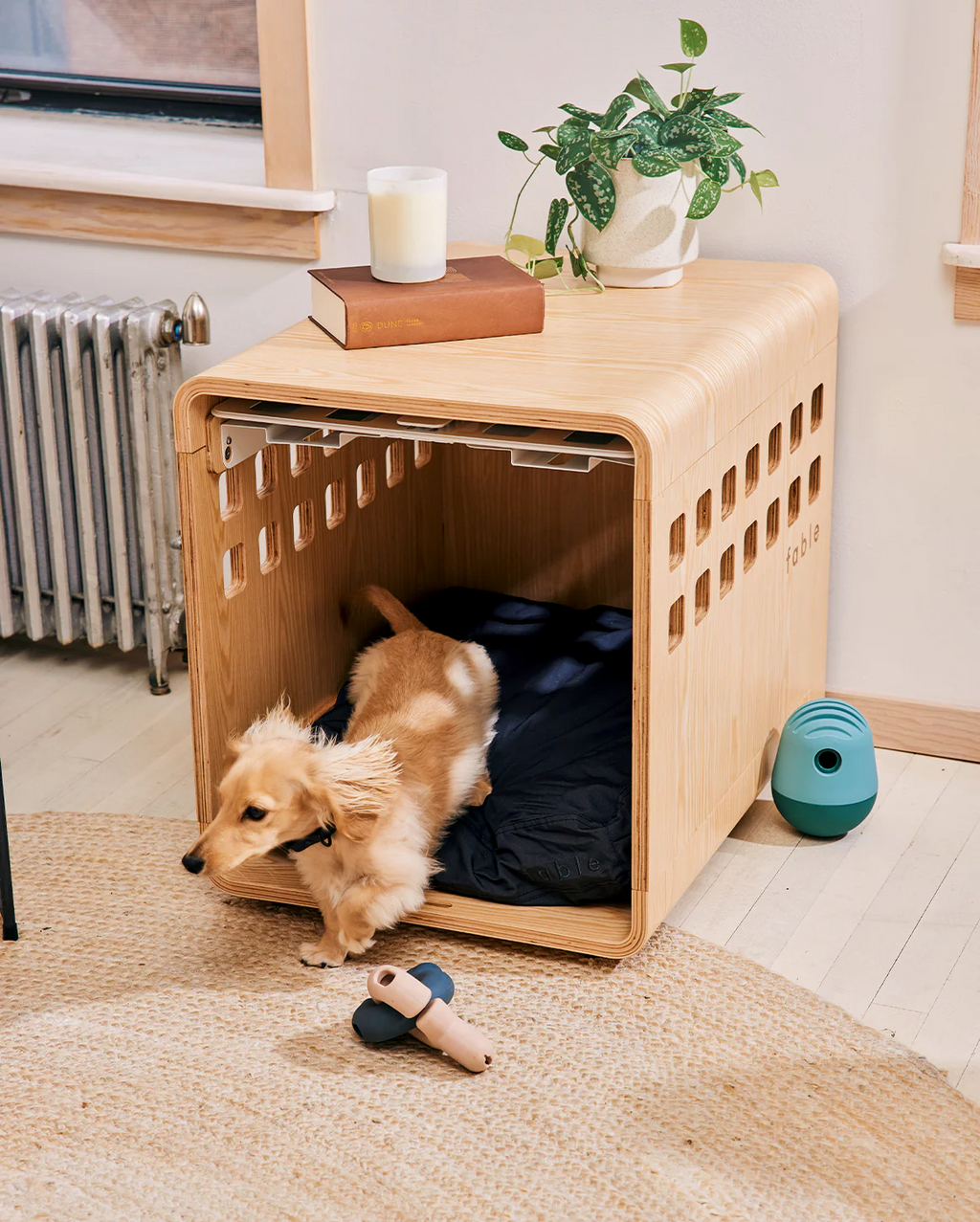 dog Rest Set