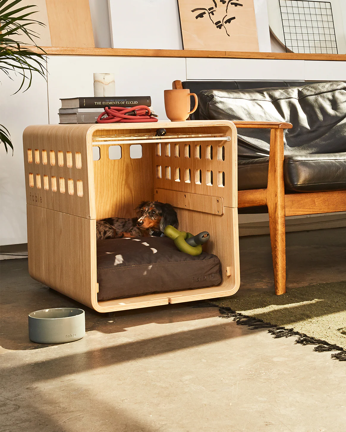 dog Rest Set