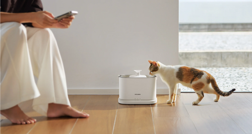 Dockstream 2 Smart Cordless Fountain